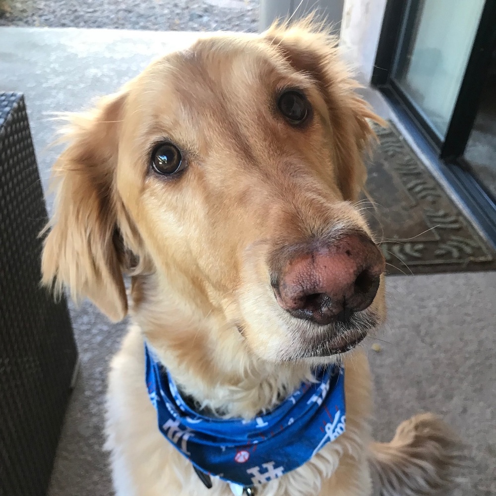 Meet your Posher, Bobbi